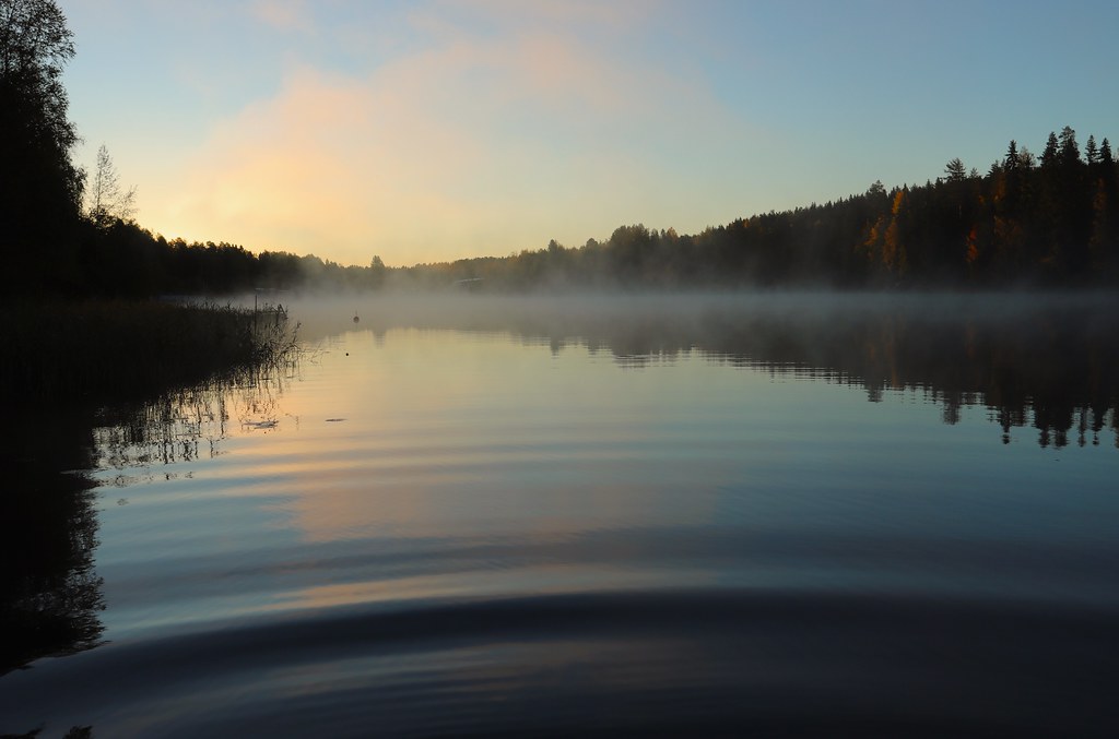 Lago en calma al amanecer con niebla suave