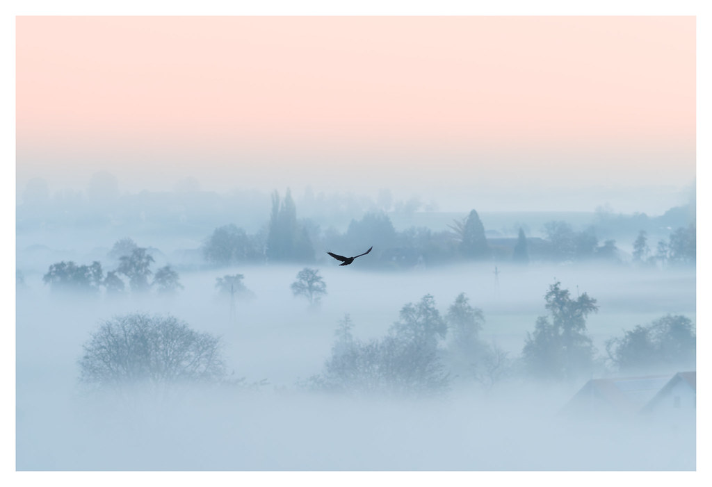 La diferencia entre descansar y desconectar (no es lo mismo)